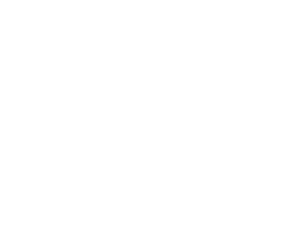logo anonimo